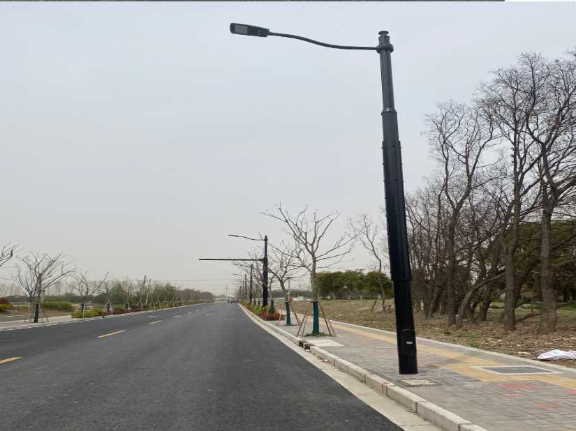 九江市上海综合杆 太阳能路灯工程